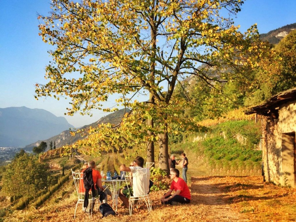 DIVIN OTTOBRE - Tastetrentino